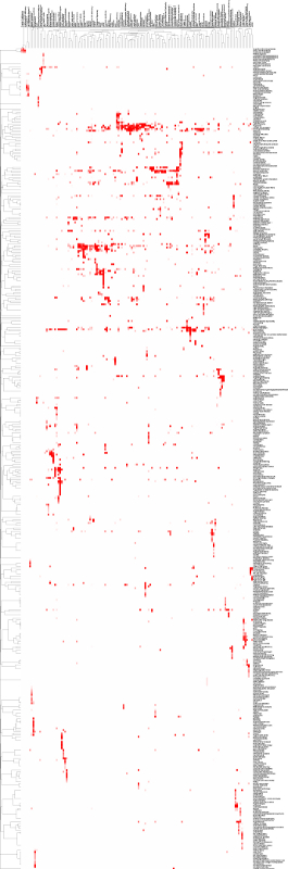 Cluster map of diseases in the database